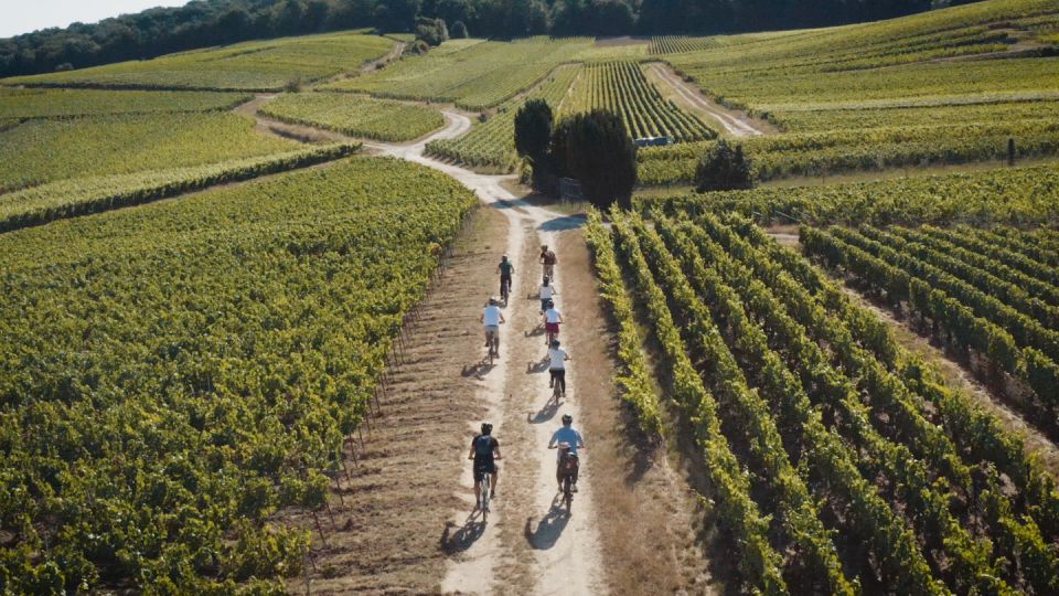 Champagne Region : Ebike Tour With a Local Guide ! - Guest Reviews