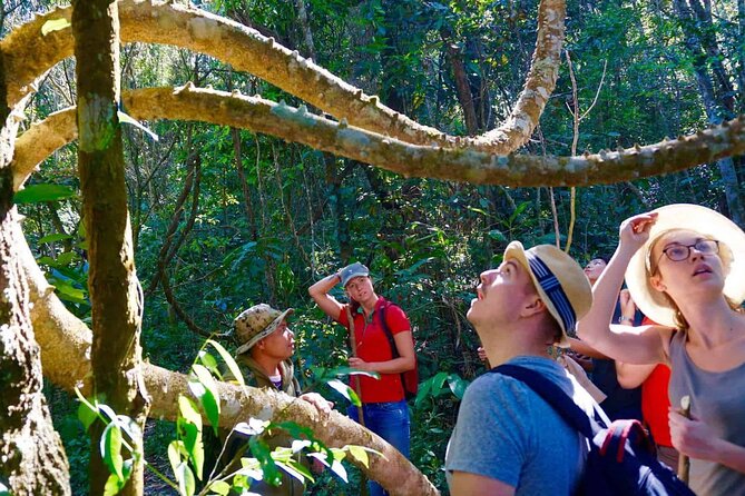 Chiang Mai 2 Days 1 Night Trek Zipline Elephant Sanctuary White Water Rafting - Local Cuisine & Cultural Experiences