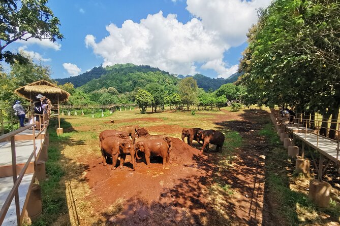 Chiang Mai Single Day Visit to Elephant Nature Park (No Riding No Bathing) - Additional Information for Visitors