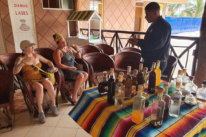 Cozumel 5-Hour Private Bar Crawl Tour - Tour Details and Booking Information