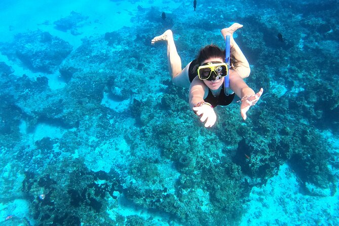 Cozumel Private Snorkeling and Charter Experience - Meeting and Pickup Information