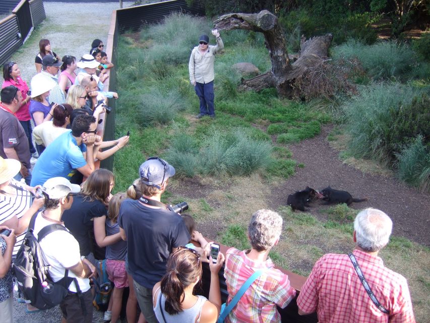 Cradle Mountain: After Dark Tasmanian Devil Feeding Tour - Customer Reviews