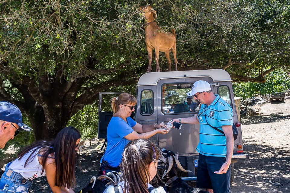 Crete: Land Rover Safari on Minoan Route - Inclusions in the Package