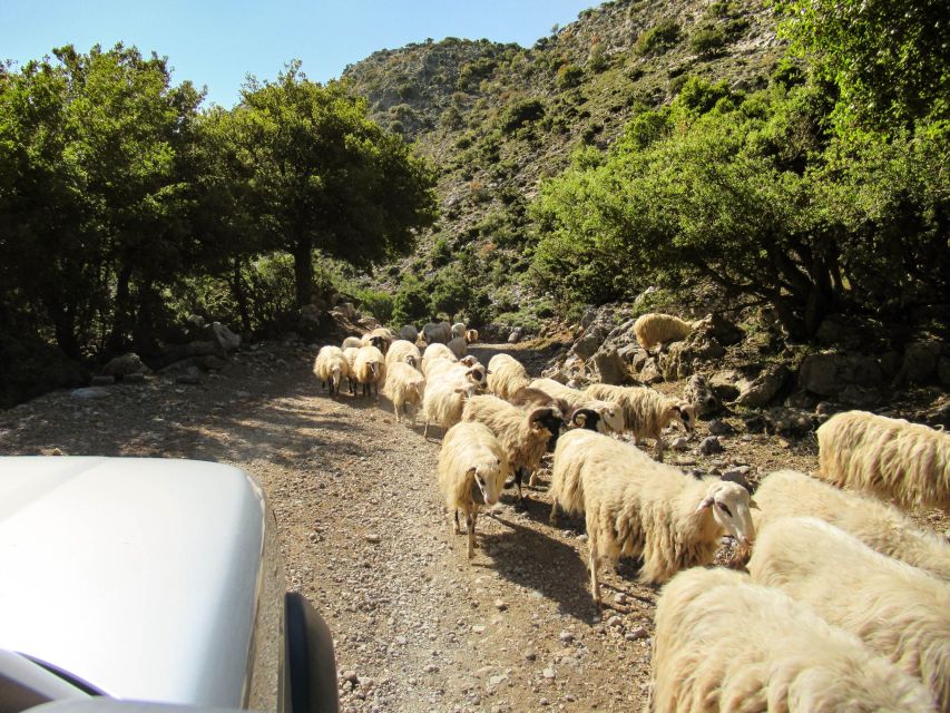 Crete: Lasithi Plateau Off-Road Land Rover Safari With Lunch - Important Information