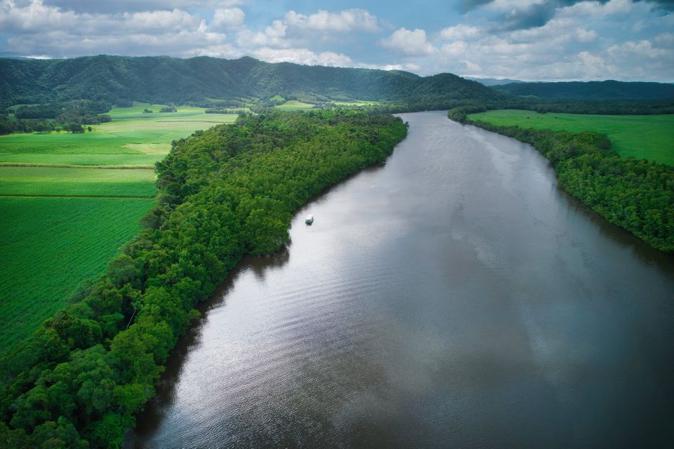 4 daintree lower daintree crocodile wildlife cruise Daintree: Lower Daintree Crocodile & Wildlife Cruise