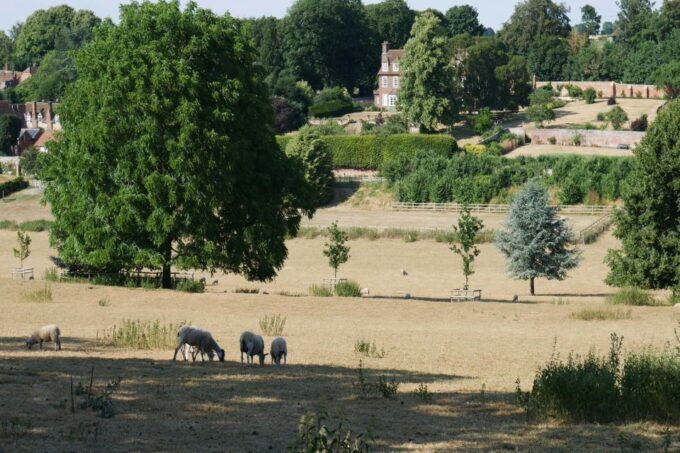 Day-Tour of the Midsomer Murders Locations - Customer Reviews