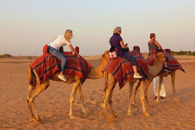 Desert Excursion With Typical Dinner and Arab Dance Show - Traveler Photos