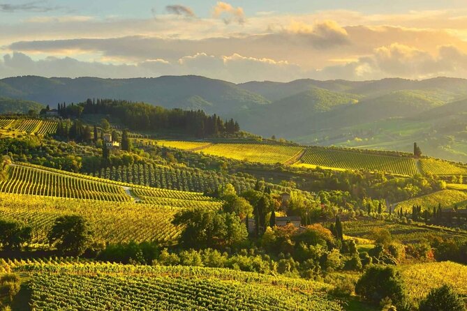 Discovering Chianti: Sunset Ebike Tour and Dinner - Pricing Details
