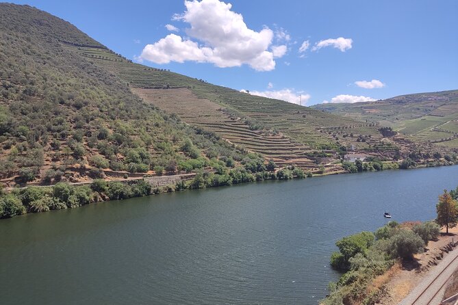 Douro Classic Sightseeing Full-Day Private Tour - Booking Information