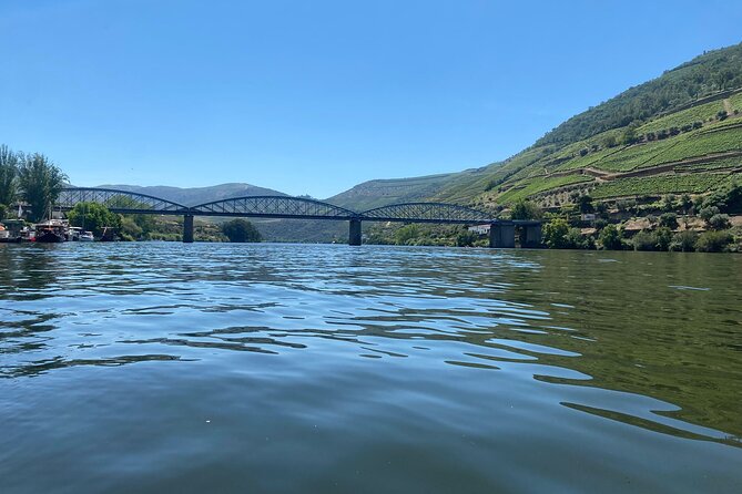 Douro Valley Private Tour: 2 Farms, Lunch & Boat Trip - River Cruise