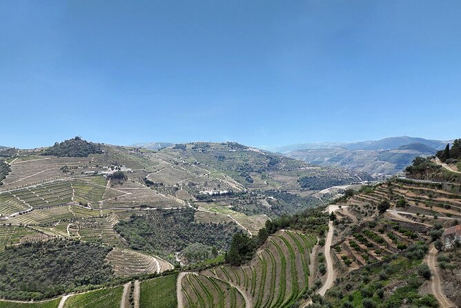 Douro Valley Private Tour Lunch Wine Tastings and River Cruise - Meeting and Pickup Details