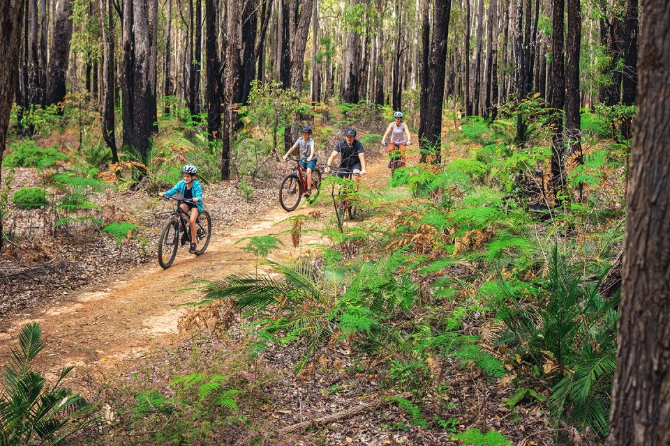 Dwellingup: Munda Biddi Explorer - Explore Jarrah Forest on Bike