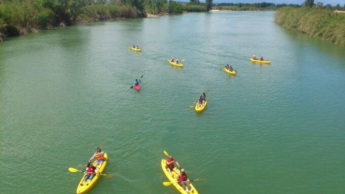 Ebro Delta: Guided Kayak Tour to Gracia Island - Customer Reviews and Feedback