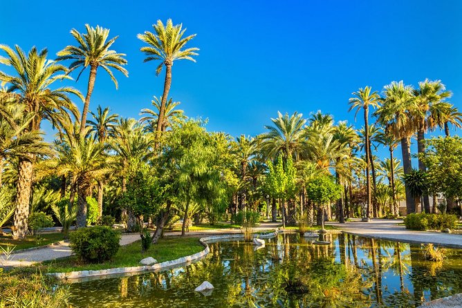 Experience the World Heritage City of Elche Private Tour - Important Information