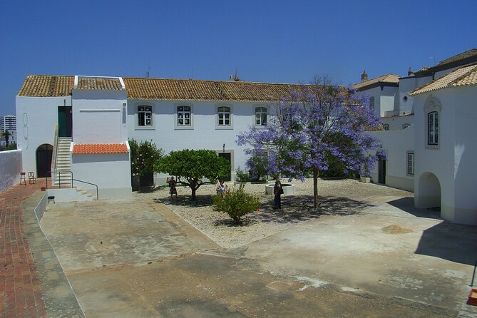 Faro Private Walking Tour With a Professional Guide - Tour Details