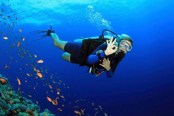 Fethiye Scuba Diving Experience By A Local Expert - Key Points