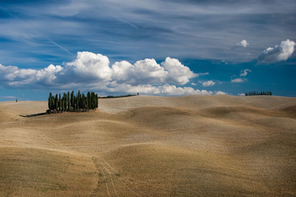 Florence: 2 Chianti Cellar Tours, Lunch & Transfer - Participant Restrictions