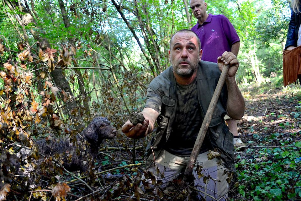 Florence: Truffle Hunting Tour, Wine Tasting, and Lunch - Additional Information