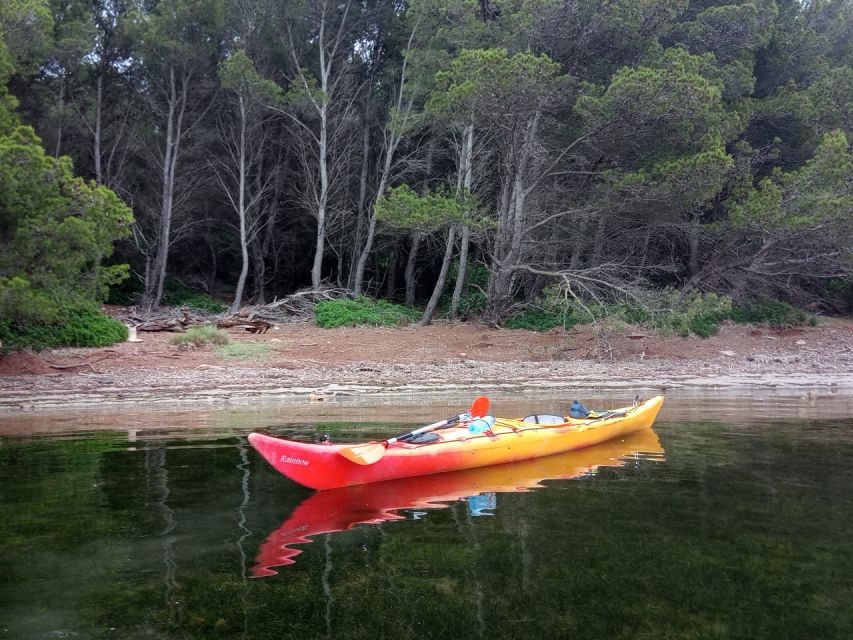 Fornells Bay: Kayak Tour With Treasure Hunt From Ses Salines - Activity Description