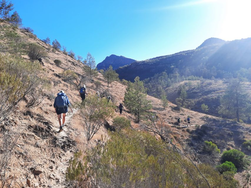 From Adelaide: 5-Day Ikara-Flinders Ranges Hiking Tour - Landscape Features and Wildlife Encounters