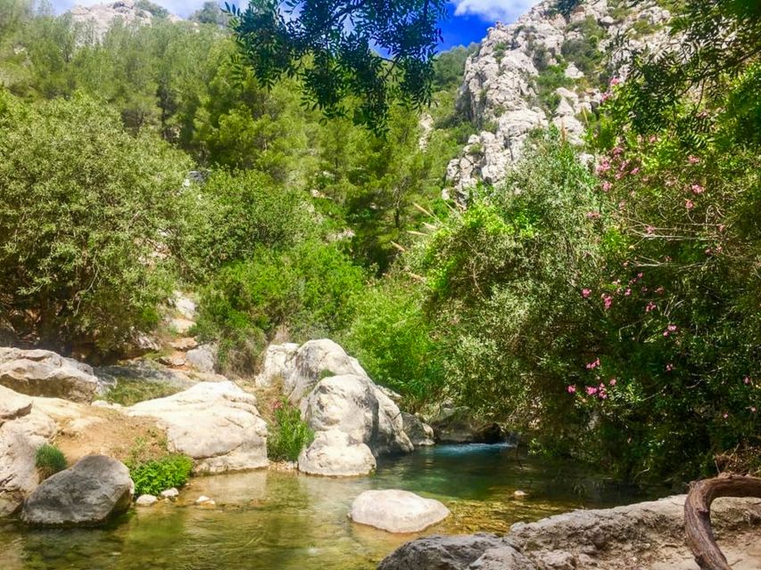 From Albir or Benidorm: Algar Waterfalls Day Trip - Booking Information and Pricing