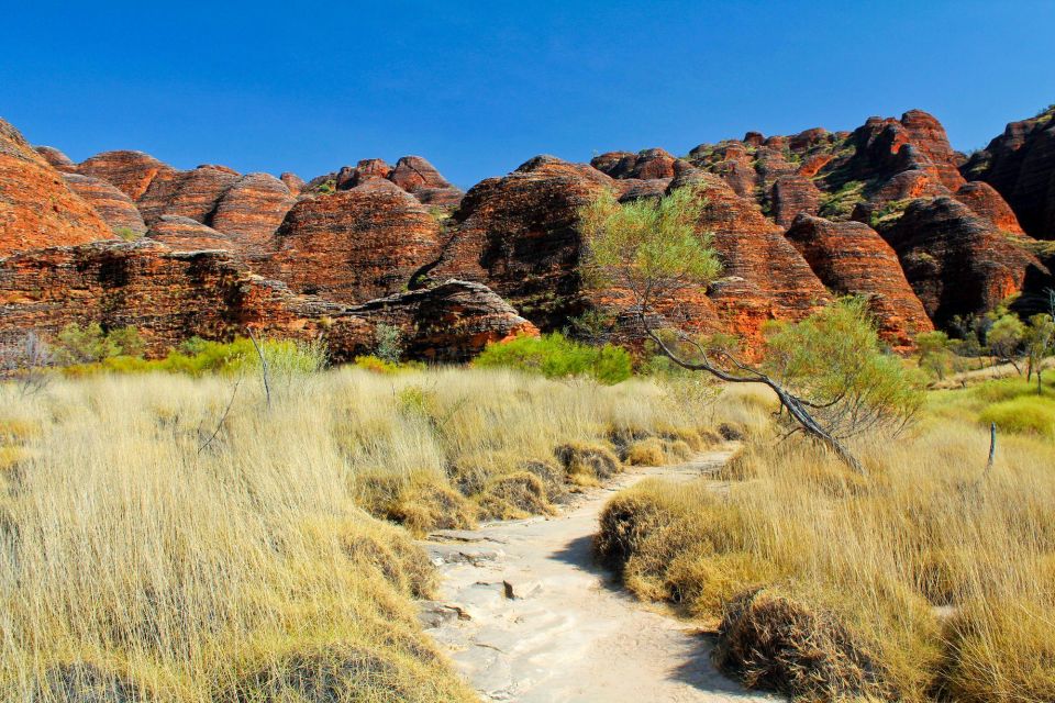 From Broome: Bungle Bungle Explorer Scenic Flight - Reservation Details