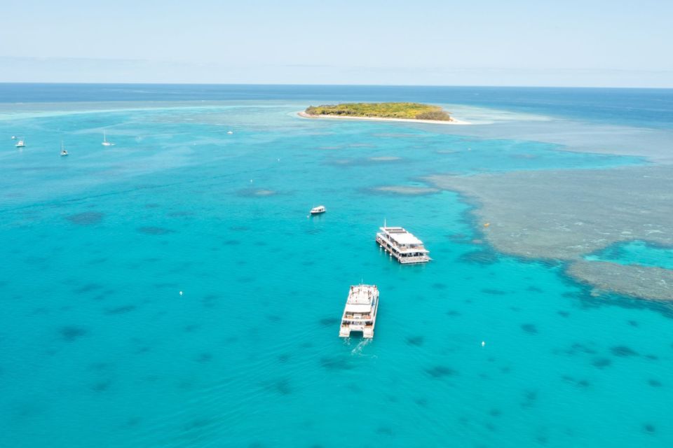 From Bundaberg: Barrier Reef & Lady Musgrave Island Day Tour - Booking Information