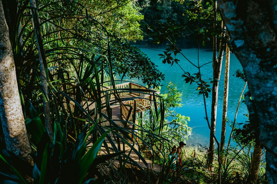 From Cairns: Atherton Tableland Wilderness Tour With Lunch - Important Information