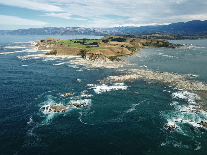 From Christchurch: Kaikoura Whale Watching Day Tour - Directions