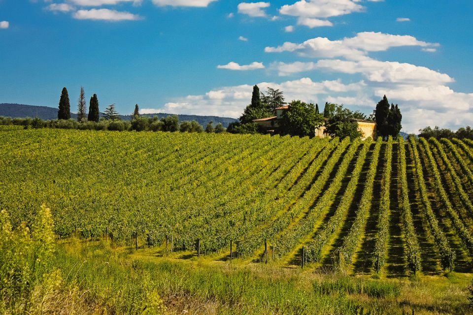 From Florence: San Gimignano and Chianti Private Tour - Customer Review