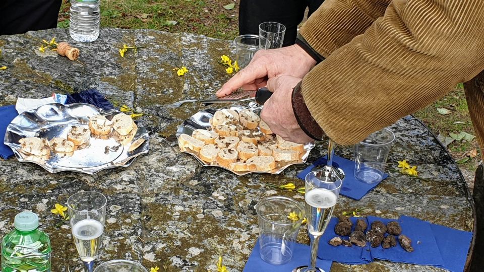 From Florence: Truffle Hunt and Lunch in the Countryside - Inclusions