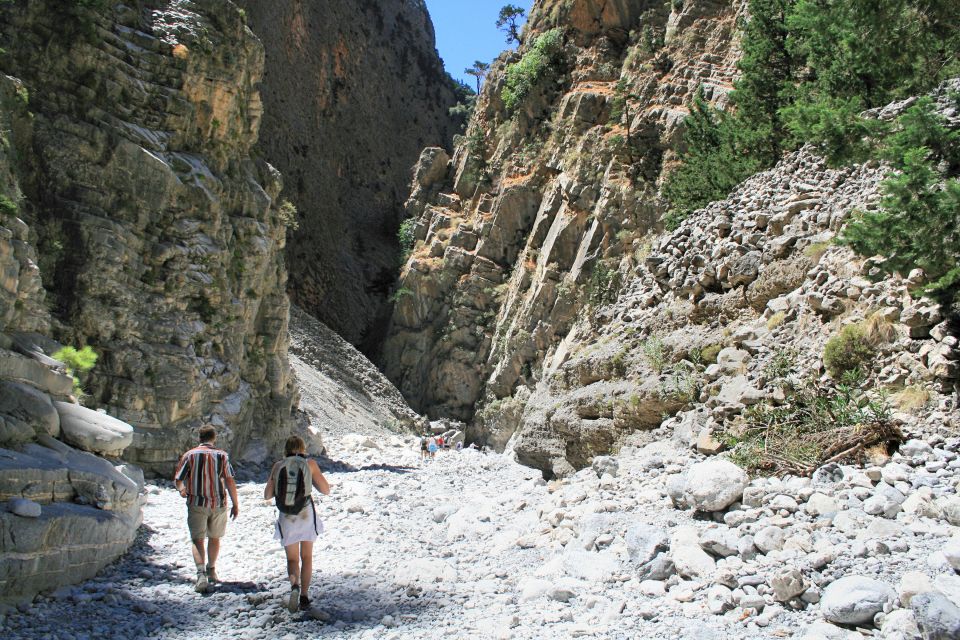 From Heraklion, Agia Pelagia, Malia: Samaria Gorge Day Trip - Customer Reviews