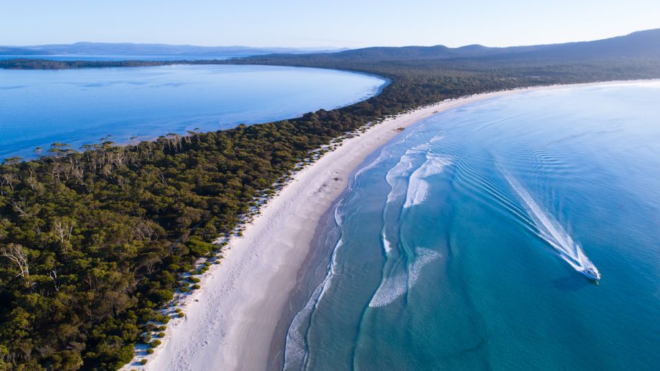 From Hobart: Day Trip to Maria Island With Hotel Pickup - Important Information