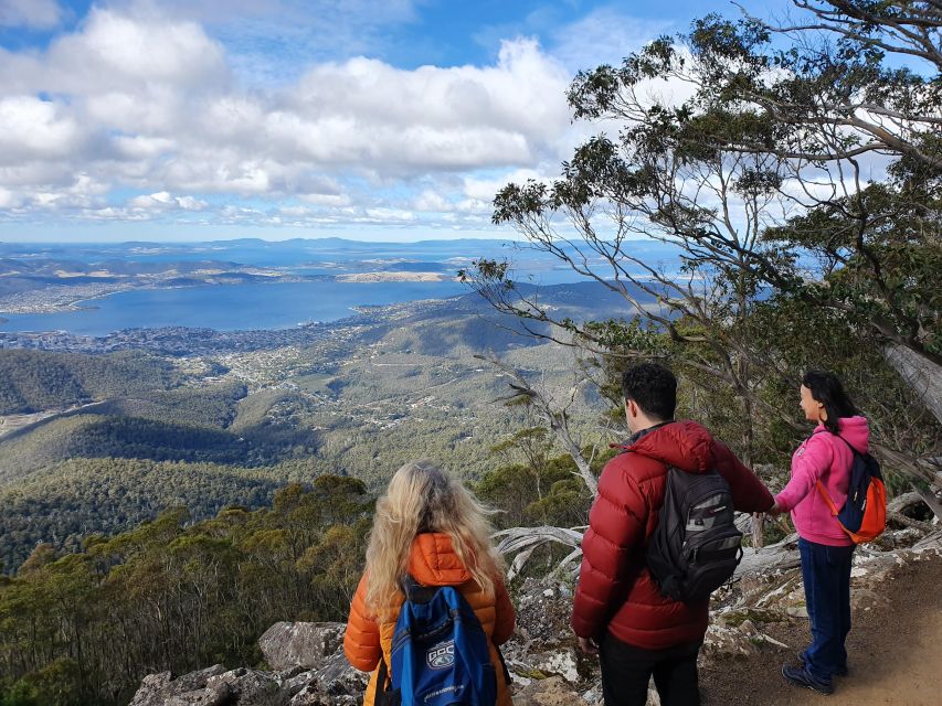 From Hobart: Mt Wellington Morning Walking Tour - Inclusions