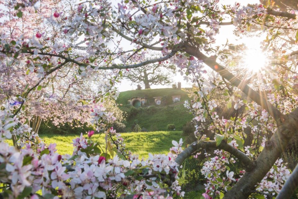 From Matamata: Guided Hobbiton Experience With Bus Transfers - Logistics and Reviews