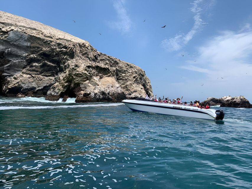 From Paracas: Ballestas Island Marine Wildlife Watching - Inclusions