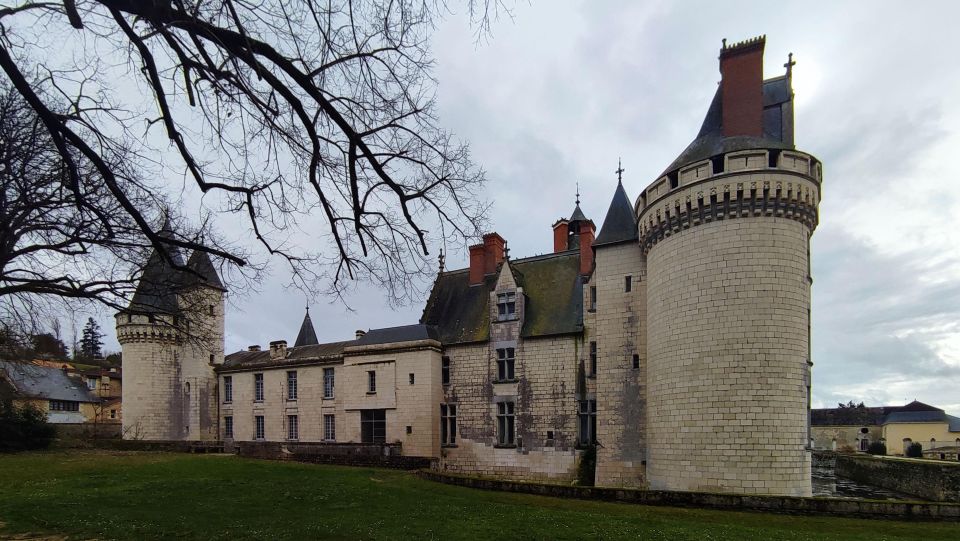From Poitiers: Private Visit to the Castle of Dissay - Visitor Recommendations