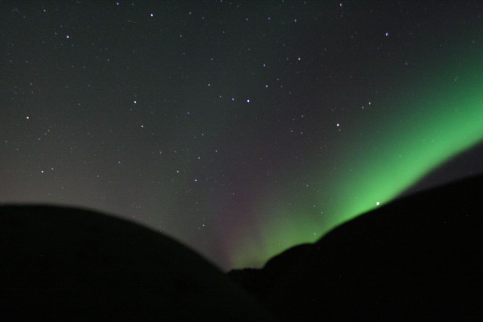 From Reykjavik: Northern Lights Boat Cruise - Customer Reviews