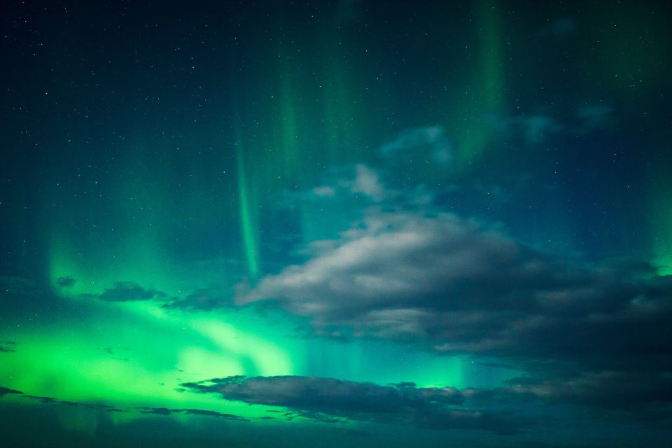 From Reykjavik: Northern Lights Tour - Expert Guides and Weather Checks