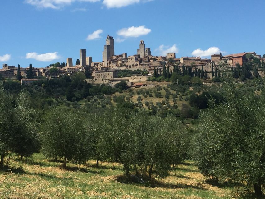 From Rome: Tuscany & Siena With Wine Tasting and Lunch - Customer Reviews