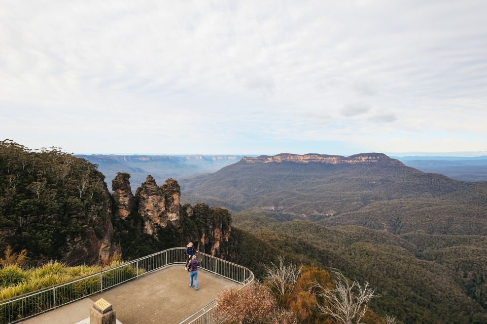 From Sydney: Blue Mountains, Scenic World All Inclusive Tour - Guide and Transportation Quality