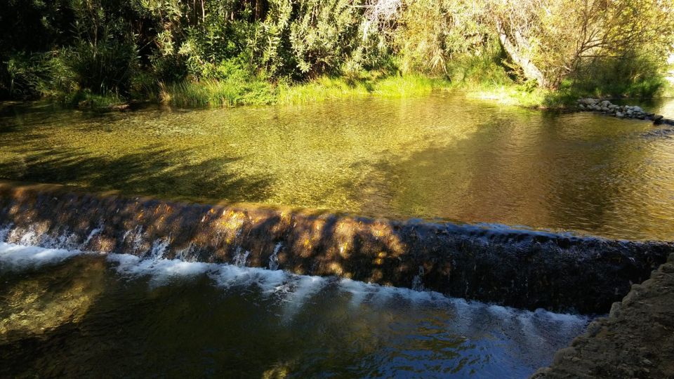 From Valencia: Full Day Tour at Algar Spring - Directions