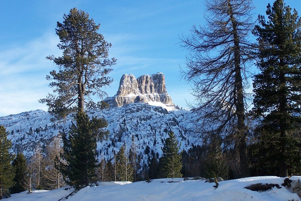 From Venice: Cortina and the Dolomites in One Day - Tour Details