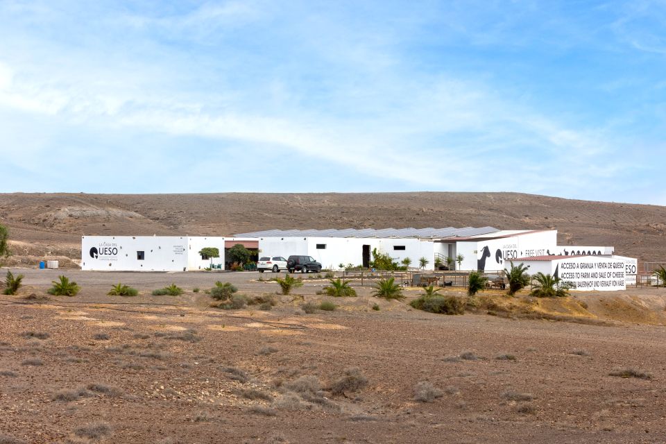 Fuerteventura: Artisan Goat's Cheese Making at Local Farm - Breakfast and Tasting