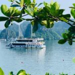 4 full day halong bay islands and cave tour transfer 2 ways by newest expressway Full-Day Halong Bay Islands and Cave Tour Transfer 2 Ways by Newest Expressway