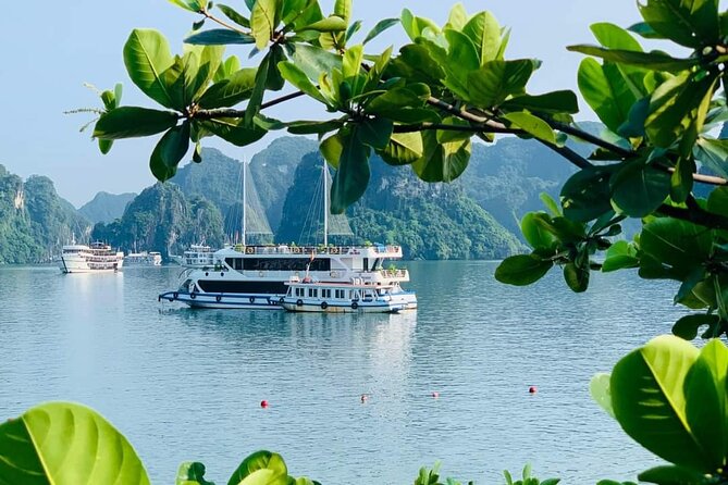 4 full day halong bay islands and cave tour transfer 2 ways by newest Full-Day Halong Bay Islands and Cave Tour Transfer 2 Ways by Newest Expressway