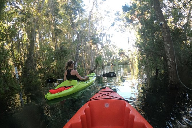 Full Day Single Kayak Rental In Crystal River - Additional Information