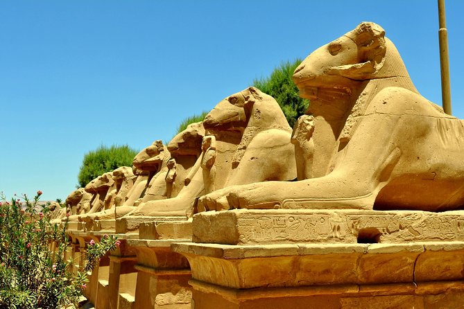 Full Day Tour to Best Monuments of Luxor From Luxor - Common questions