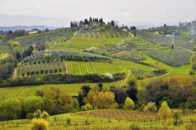 Full Day Wine Tour in Chianti From Florence or Siena - Booking Confirmation and Policies