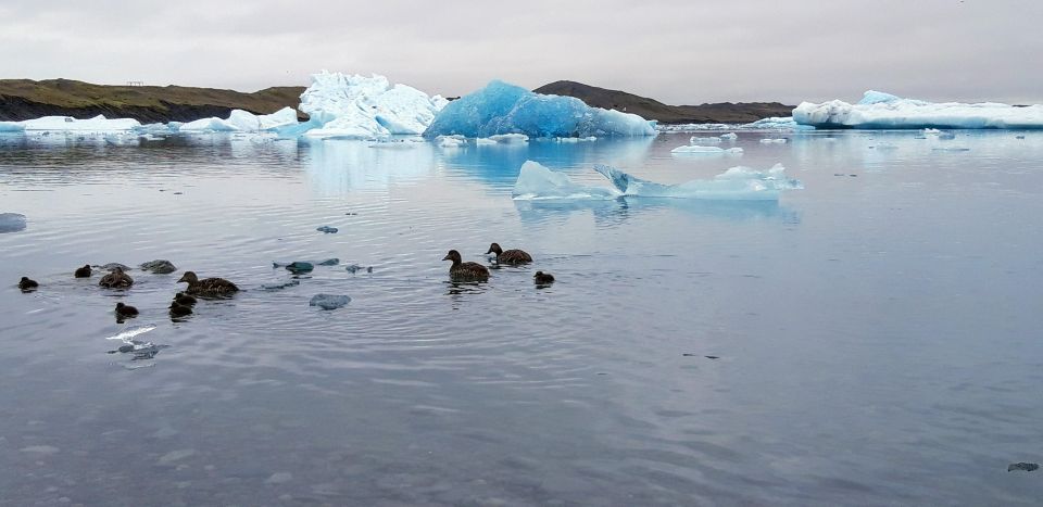 Glacier Lagoon and Diamond Beach Private Tour From Reykjavik - Tour Experience